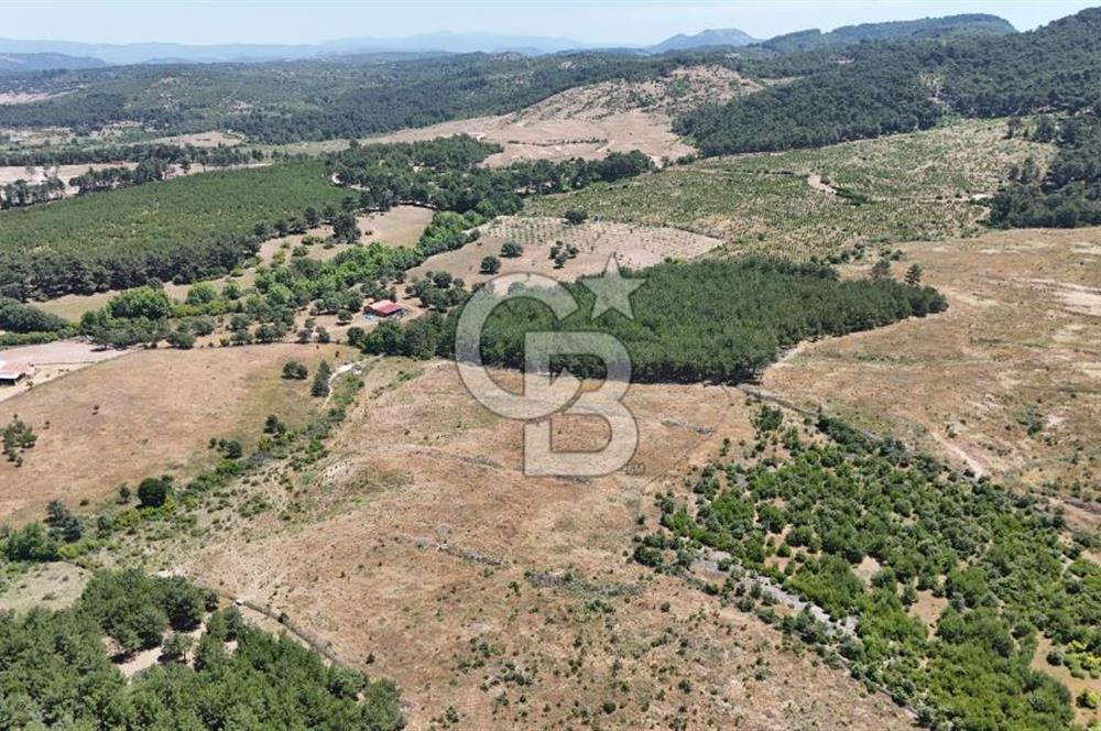 ÇANAKKALE AYVACIK SAZLI KÖYÜNDE 8.162 M² İMARLI SATILIK ARSA