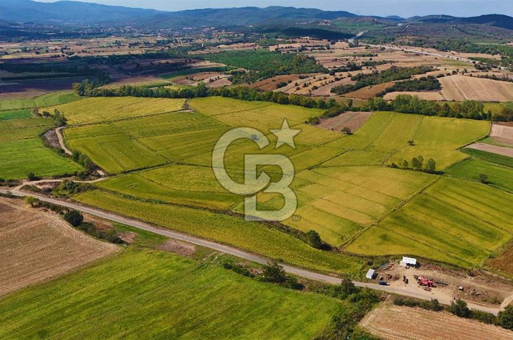 Satılık Tarla | Çanakkale Biga Çınardere Yola Cephe - Görsel 3