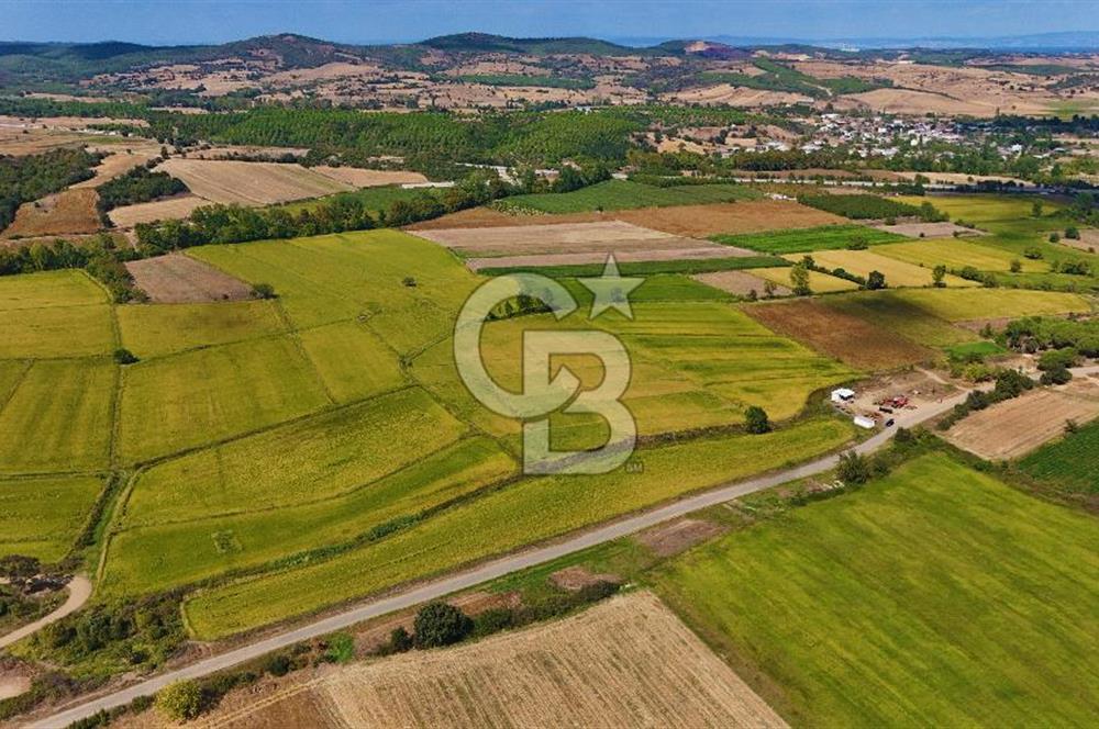 Satılık Tarla | Çanakkale Biga Çınardere Yola Cephe - Görsel 7