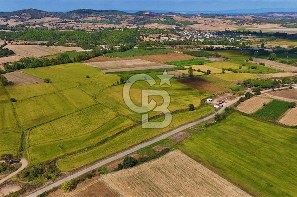 Satılık Tarla | Çanakkale Biga Çınardere Yola Cephe - Görsel 8