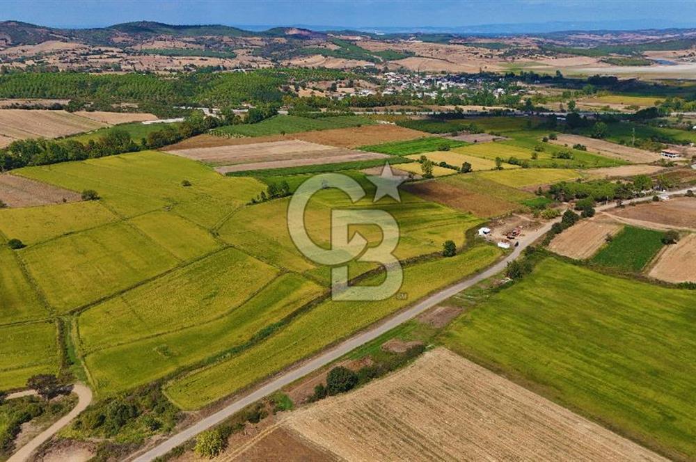 Satılık Tarla | Çanakkale Biga Çınardere Yola Cephe - Görsel 9