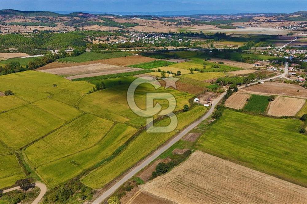 Satılık Tarla | Çanakkale Biga Çınardere Yola Cephe - Görsel 10
