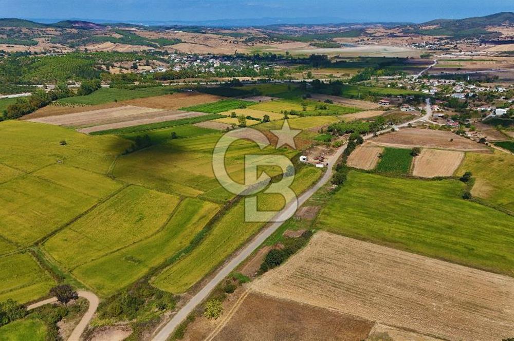 Satılık Tarla | Çanakkale Biga Çınardere Yola Cephe - Görsel 11