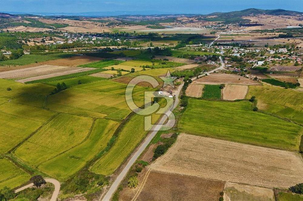 Satılık Tarla | Çanakkale Biga Çınardere Yola Cephe - Görsel 12