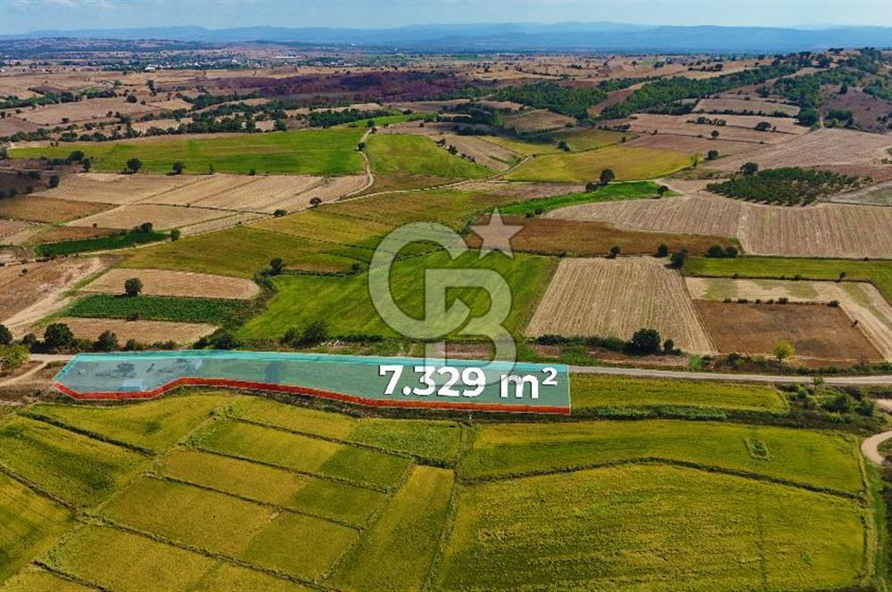 Satılık Tarla | Çanakkale Biga Çınardere Yola Cephe - Görsel 2