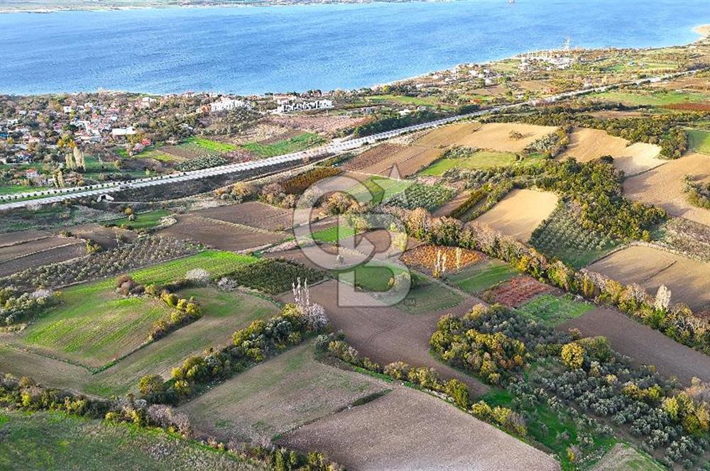 Çanakkale Lapseki Suluca Satılık Tarla - Görsel 6