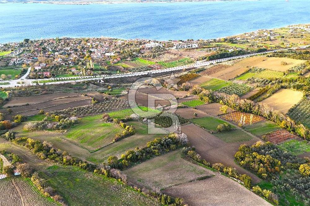 Çanakkale Lapseki Suluca Satılık Tarla - Görsel 7