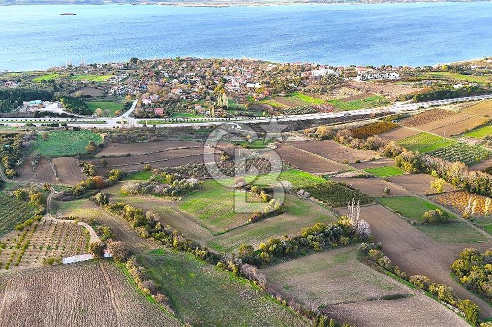 Çanakkale Lapseki Suluca Satılık Tarla - Görsel 8