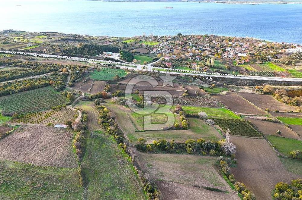 Çanakkale Lapseki Suluca Satılık Tarla - Görsel 9