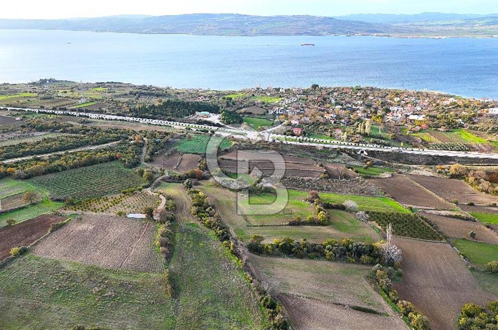 Çanakkale Lapseki Suluca Satılık Tarla - Görsel 10