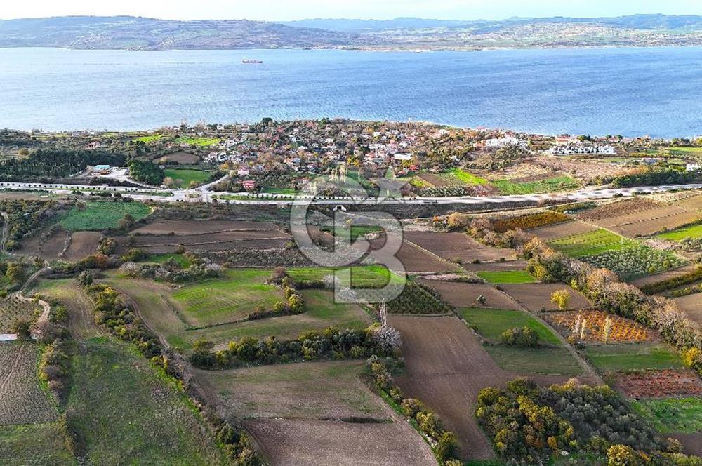 Çanakkale Lapseki Suluca Satılık Tarla - Görsel 11