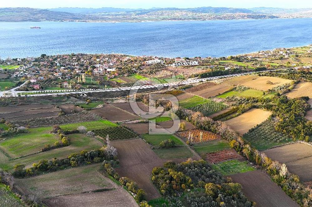 Çanakkale Lapseki Suluca Satılık Tarla - Görsel 12