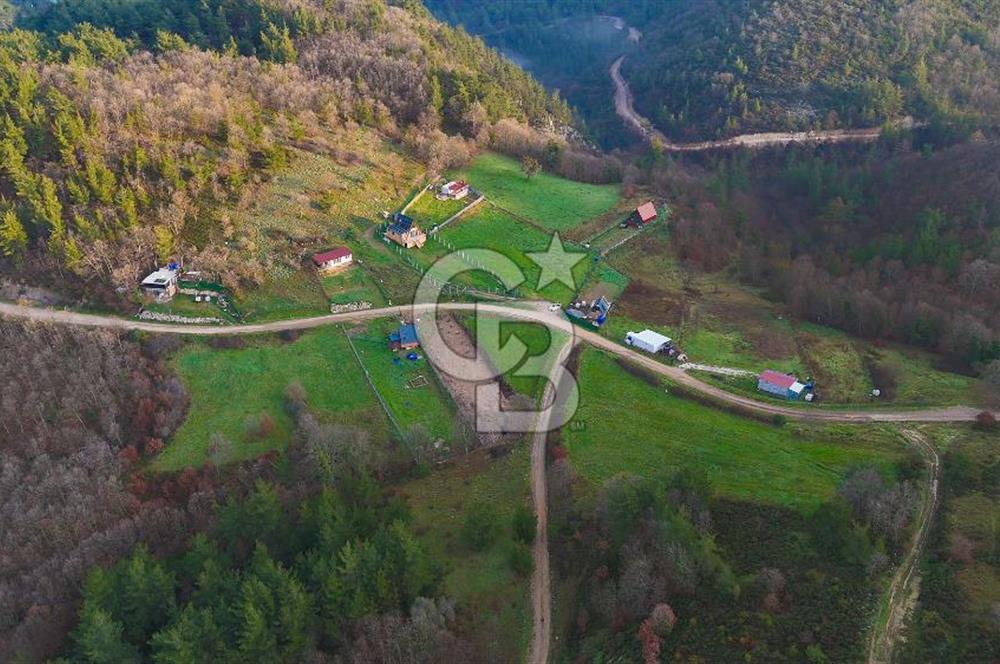 çanakkale biga akkayrak köyünde 875m2 satılık tarla