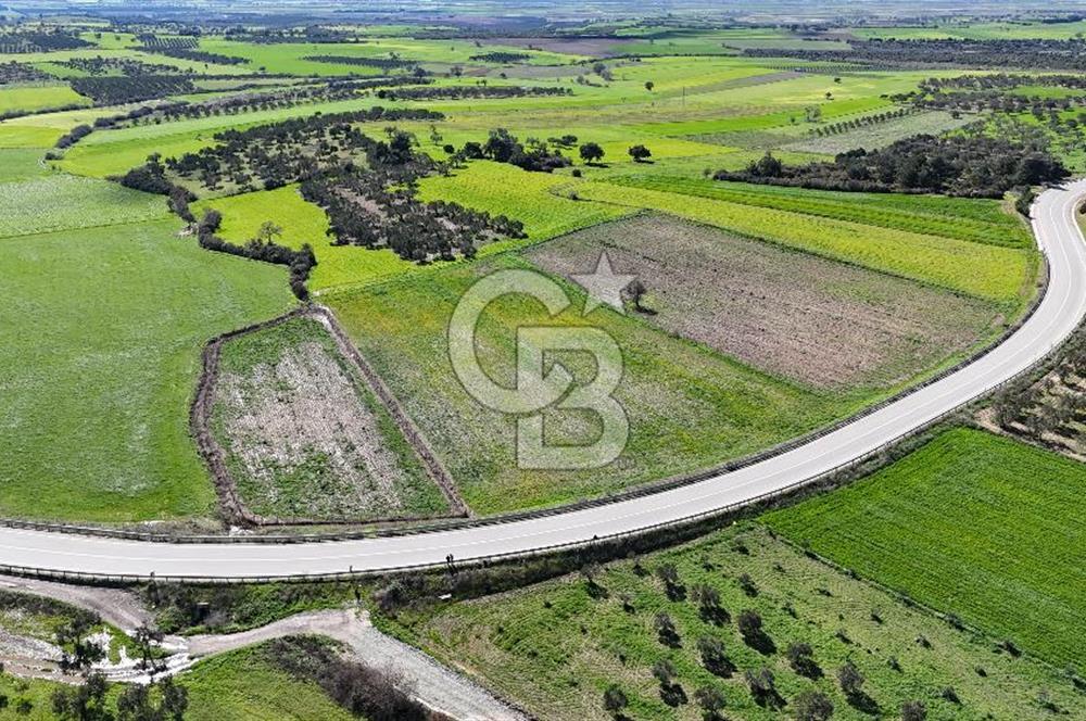 çanakkale merkez gökçalı'da 10 dönüm satılık yatırım tarlası - Görsel 2