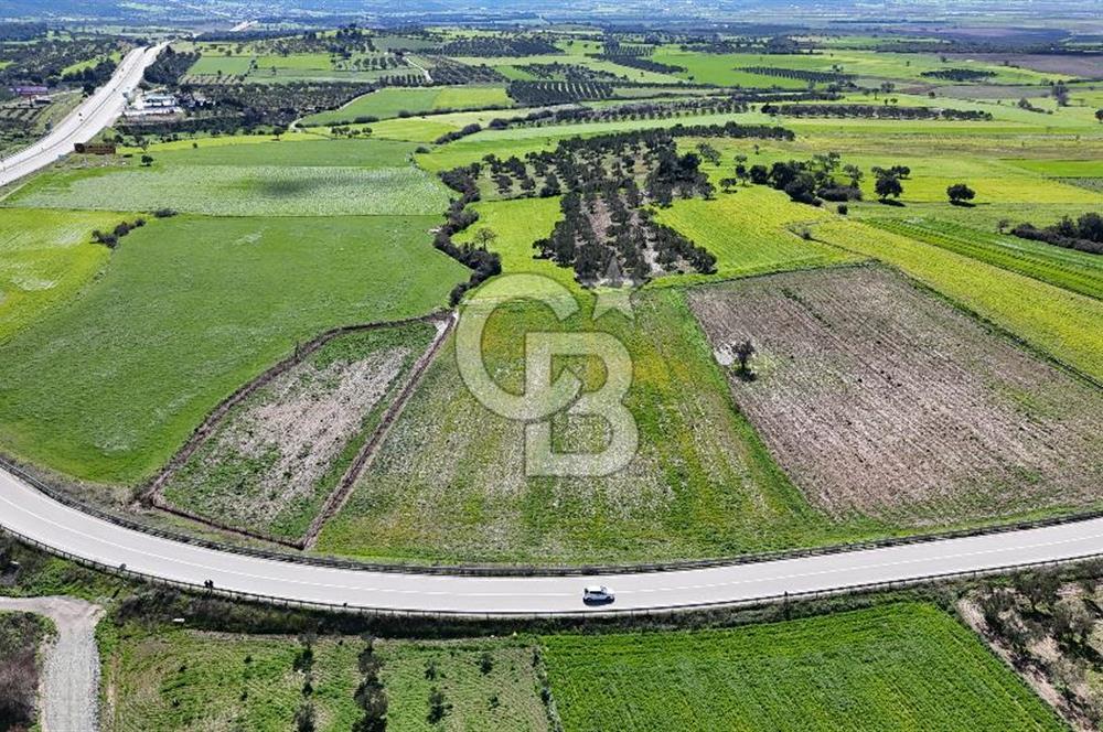 çanakkale merkez gökçalı'da 10 dönüm satılık yatırım tarlası - Görsel 3