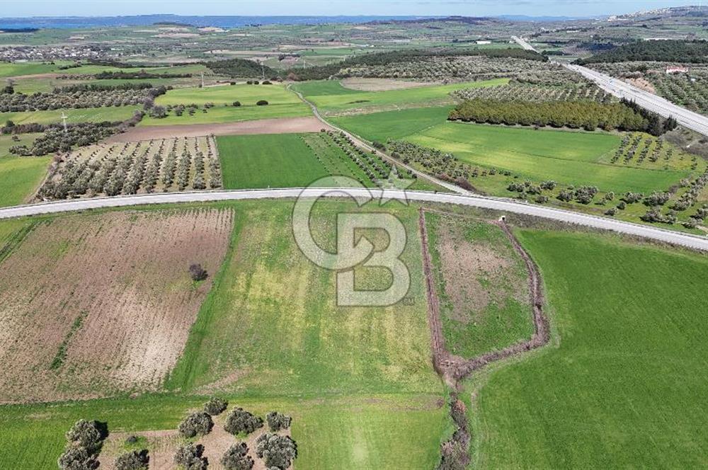 çanakkale merkez gökçalı'da 10 dönüm satılık yatırım tarlası - Görsel 7