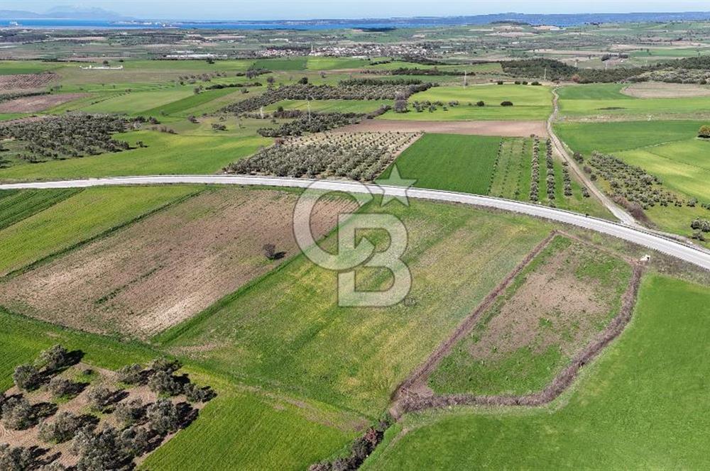 çanakkale merkez gökçalı'da 10 dönüm satılık yatırım tarlası - Görsel 8