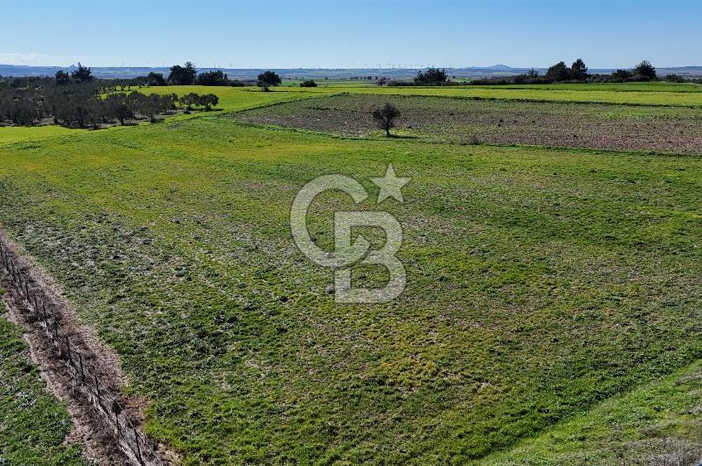 çanakkale merkez gökçalı'da 10 dönüm satılık yatırım tarlası - Görsel 9