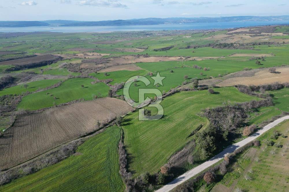 Çanakkale Merkez Kömürcü Satılık Tarla - Görsel 4