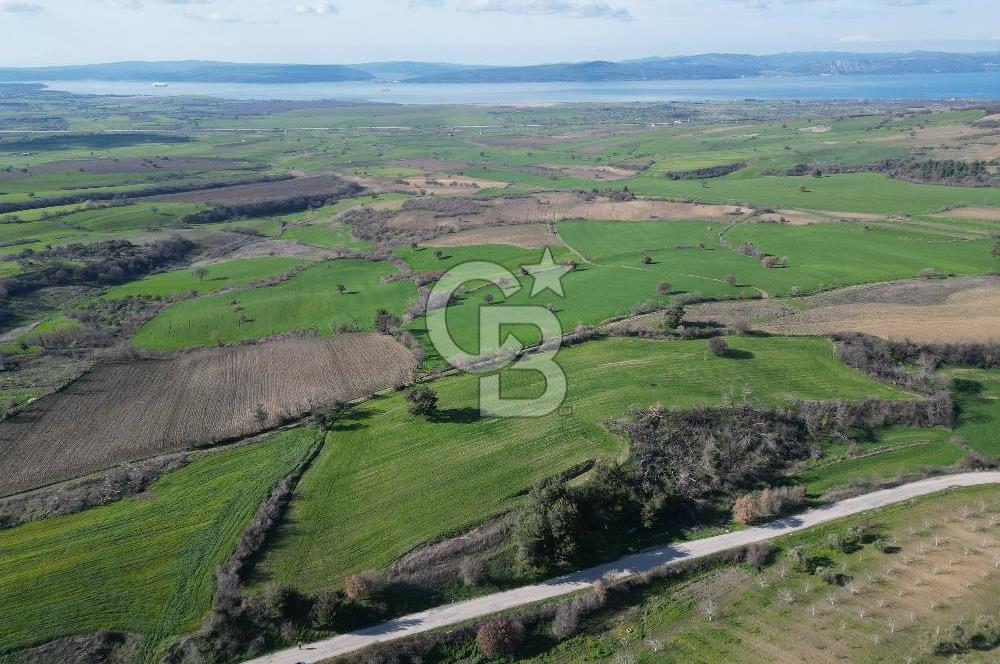Çanakkale Merkez Kömürcü Satılık Tarla - Görsel 5