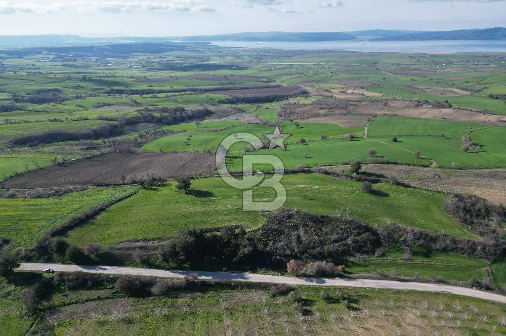 Çanakkale Merkez Kömürcü Satılık Tarla - Görsel 6