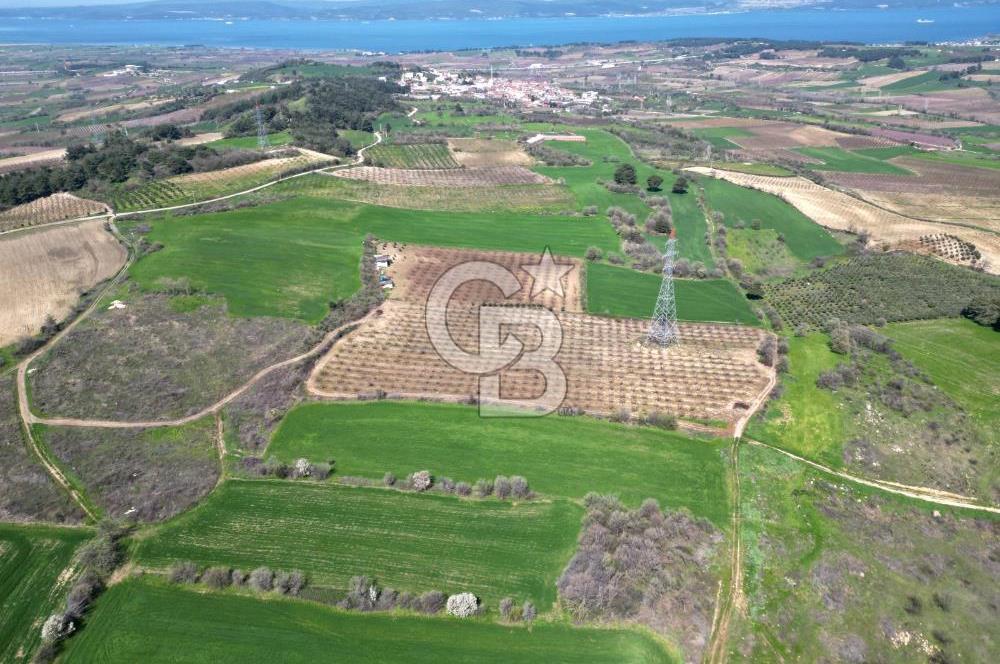 çanakkale merkez yapıldak 8.788 m² tarım arazisi fırsatı - Görsel 9