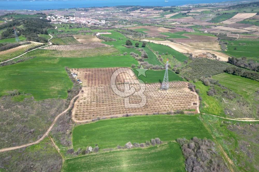çanakkale merkez yapıldak 8.788 m² tarım arazisi fırsatı - Görsel 7