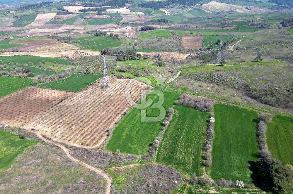 çanakkale merkez yapıldak 8.788 m² tarım arazisi fırsatı - Görsel 2