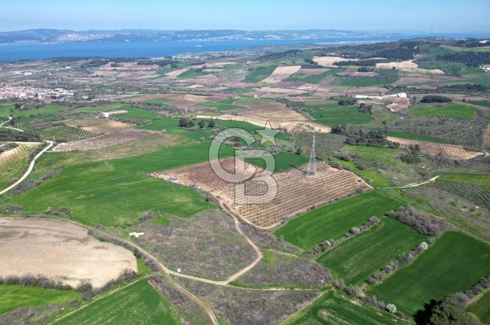 çanakkale merkez yapıldak 8.788 m² tarım arazisi fırsatı - Görsel 11