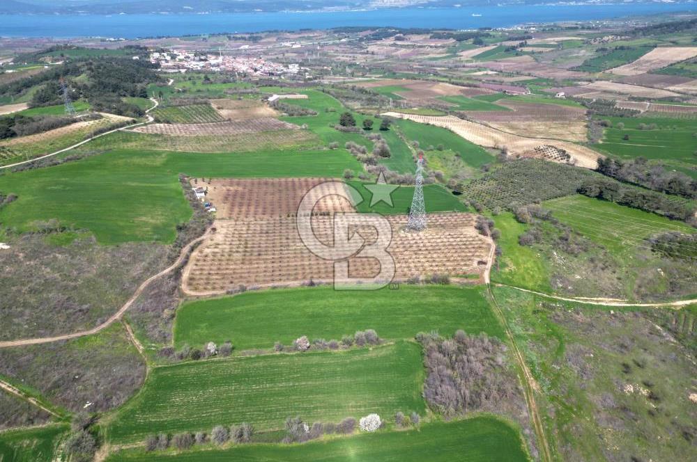 çanakkale merkez yapıldak 8.788 m² tarım arazisi fırsatı - Görsel 8