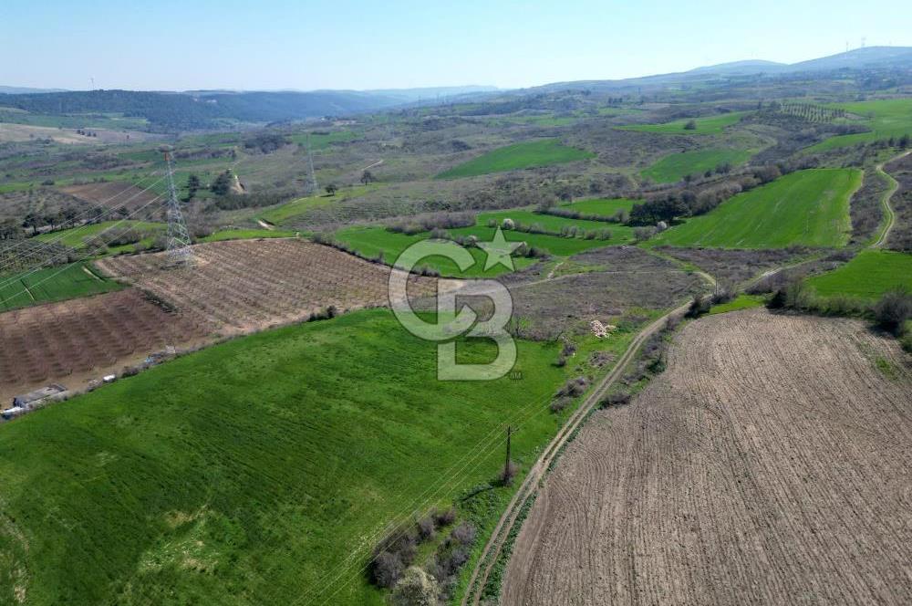 çanakkale merkez yapıldak 8.788 m² tarım arazisi fırsatı - Görsel 12