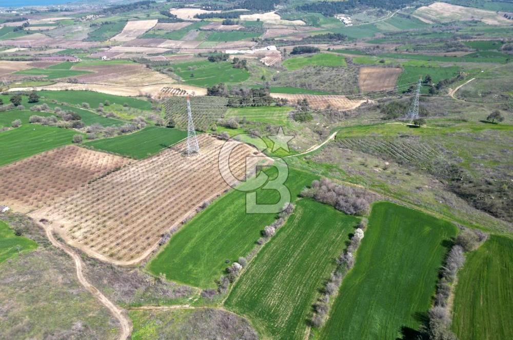çanakkale merkez yapıldak 8.788 m² tarım arazisi fırsatı - Görsel 4