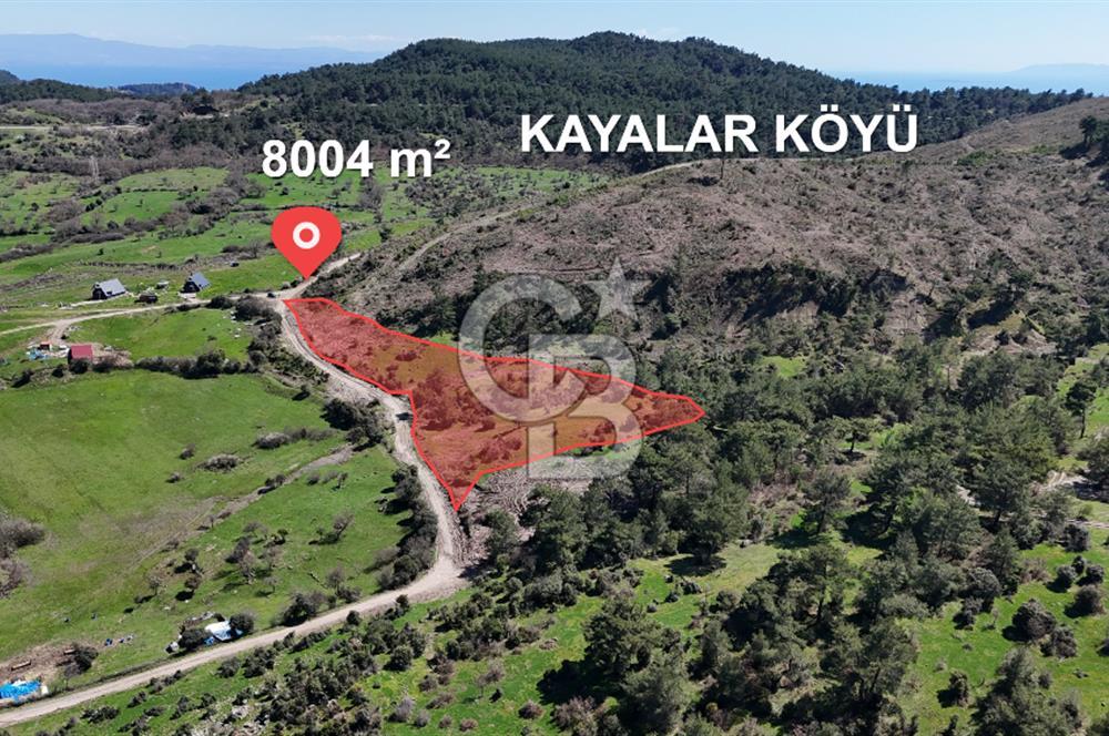 ÇANAKKALE AYVACIK KAYALAR KÖYÜNDE 8.004 m² SATILIK TARLA