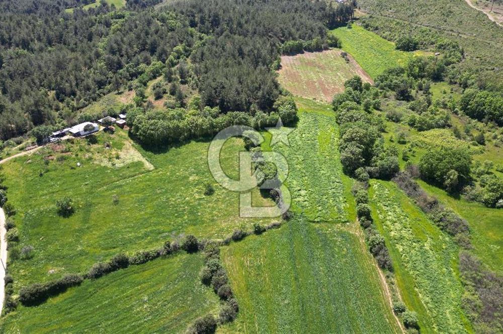 ÇANAKKALE BAYRAMİÇ GÜZELTEPE KÖYÜNDE YAPI KAYIT BELGELİ ÇİFTLİK