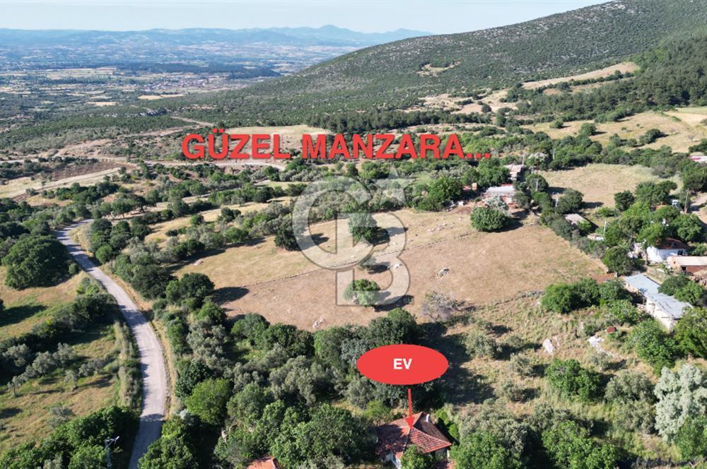 Satılık Çanakkale Bayramiç Akpınar Köyü 667m² İmarlı Arsa - Görsel 5
