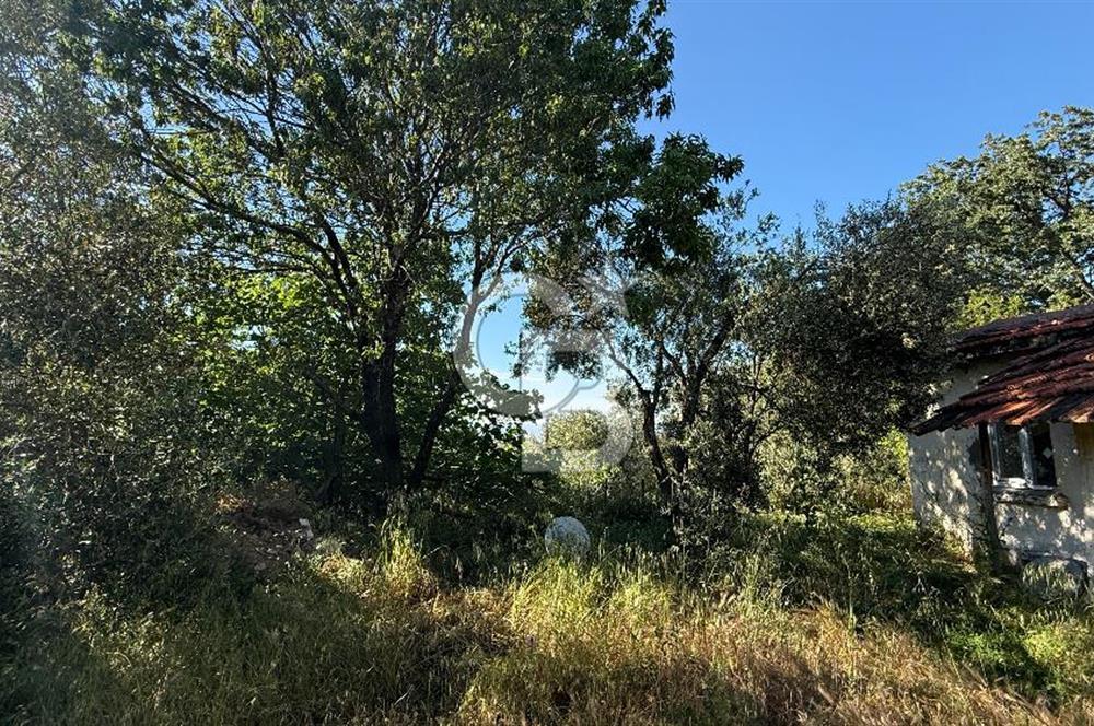 Satılık Çanakkale Bayramiç Akpınar Köyü 667m² İmarlı Arsa - Görsel 11