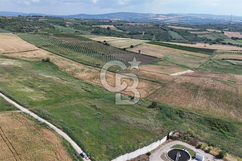 ÇANAKKALE LAPSEKİDE İMARLI FIRSAT ARSA