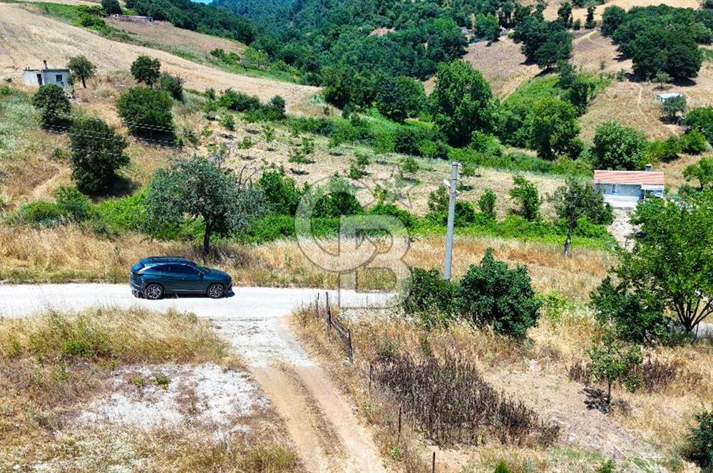 Çanakkale Çan Satılık İmarlı Arsa 286m²