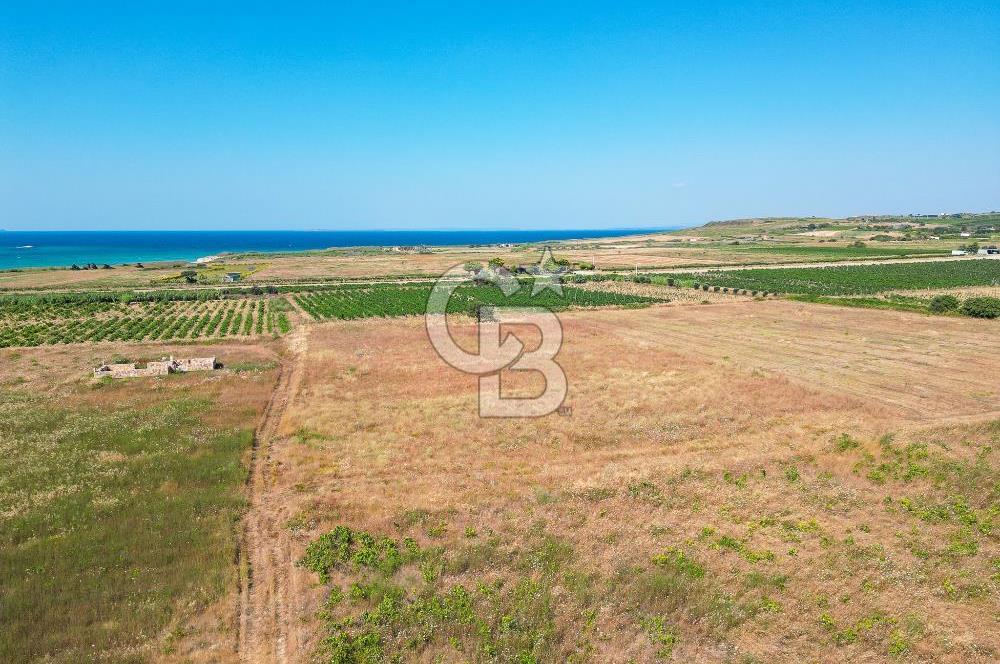 Satılık Bozcaada Bağ: Denize Yakın 1630m² Fırsat
