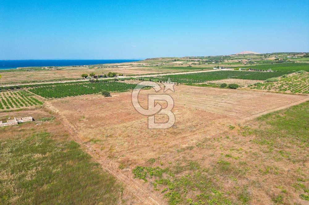 Satılık Bozcaada Bağ: Denize Yakın 1630m² Fırsat - Görsel 2