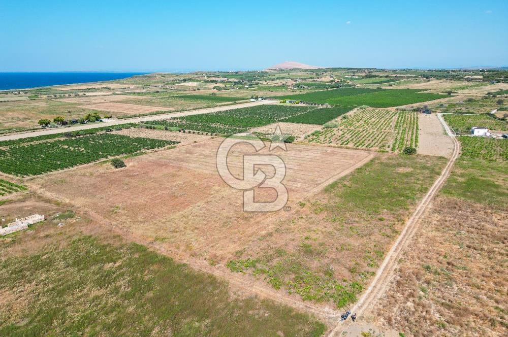 Satılık Bozcaada Bağ: Denize Yakın 1630m² Fırsat - Görsel 3