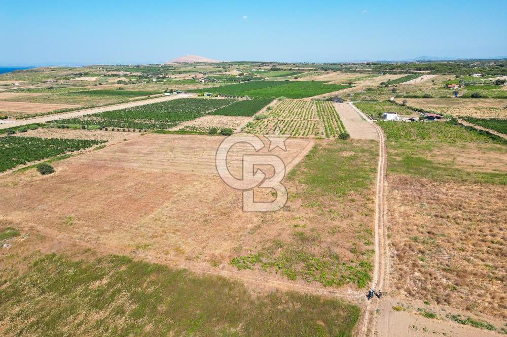 Satılık Bozcaada Bağ: Denize Yakın 1630m² Fırsat - Görsel 4