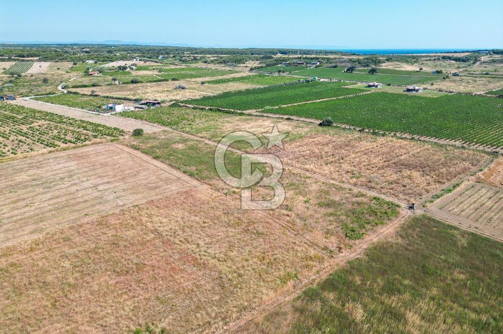 Satılık Bozcaada Bağ: Denize Yakın 1630m² Fırsat - Görsel 5