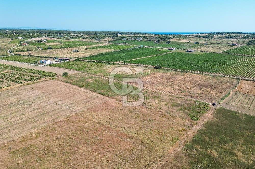 Satılık Bozcaada Bağ: Denize Yakın 1630m² Fırsat - Görsel 6