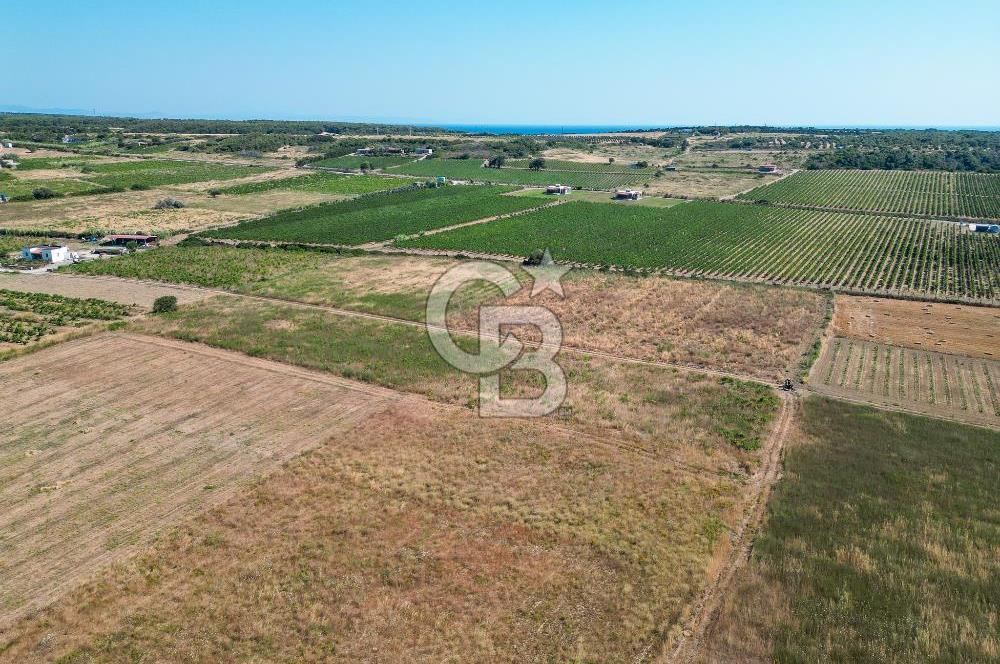Satılık Bozcaada Bağ: Denize Yakın 1630m² Fırsat - Görsel 7