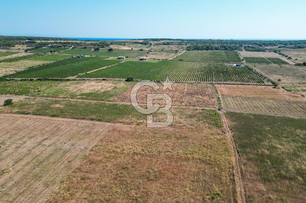Satılık Bozcaada Bağ: Denize Yakın 1630m² Fırsat - Görsel 8