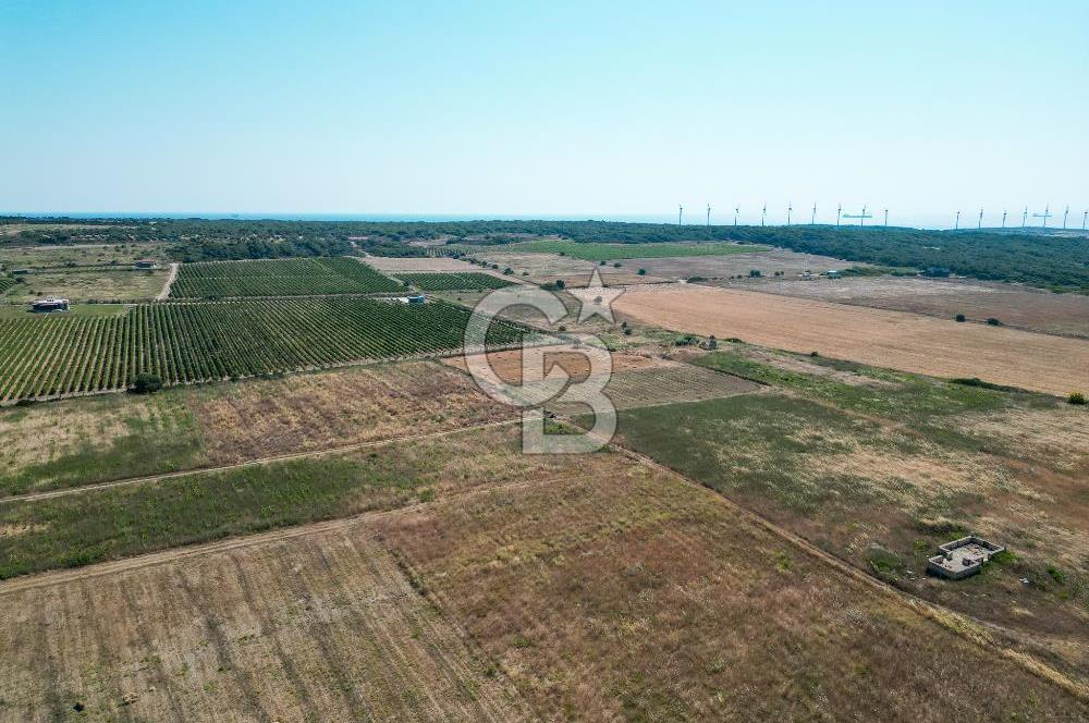 Satılık Bozcaada Bağ: Denize Yakın 1630m² Fırsat - Görsel 9