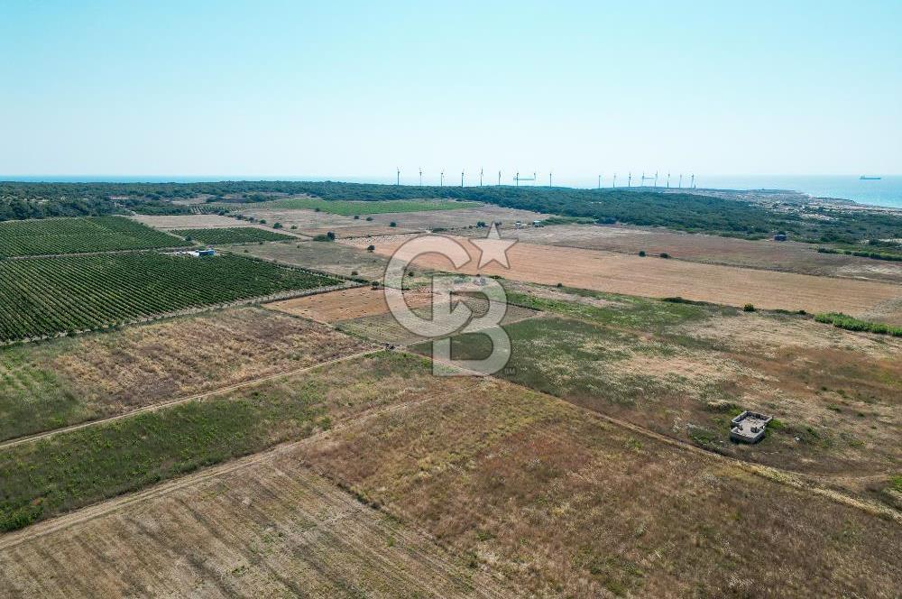 Satılık Bozcaada Bağ: Denize Yakın 1630m² Fırsat - Görsel 10