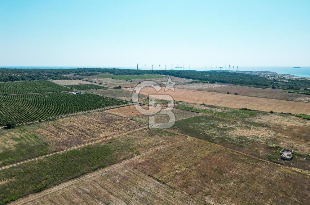 Satılık Bozcaada Bağ: Denize Yakın 1630m² Fırsat - Görsel 11