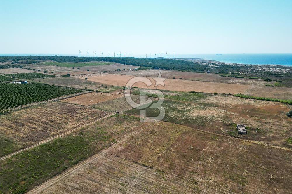 Satılık Bozcaada Bağ: Denize Yakın 1630m² Fırsat - Görsel 12